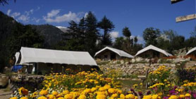 Camping Packages for Kinnaur Spiti Valley