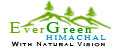 Evergreen Himachal Tour Travel
